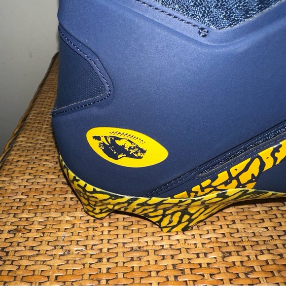 Nike Jordan Alpha Menace Pro 3 Promo Michigan Wolverines DH3368 403 Size 12 - Picture 4 of 14